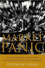 Market Panic: Wild Gyrations, Risks and Opportunities in Stock Markets