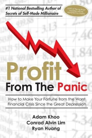 Profit From The Panic: How to Profit from the Greatest Investment Opportunity Since the Great Depression
