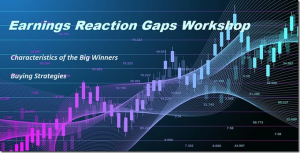Ticker Monkey – Earnings Reaction Gaps Workshop 30$