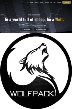 Wolf Pack Technical Analysis and Trading Strategies
