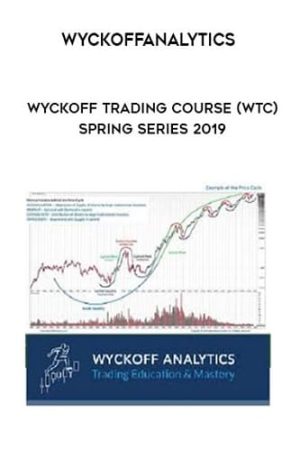 Wyckoff Trading Course (Spring 2019)