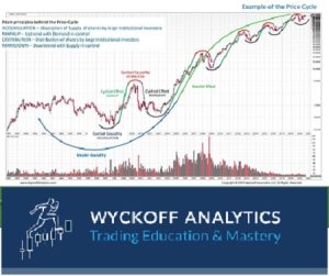 Wyckoff Trading Course - Wyckoff Analytics - SPRING 2019