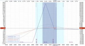Amy Meissner – The HV7 Option Trading System