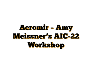 Aeromir – Amy Meissner’s AIC-22 Workshop