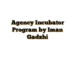 Agency Incubator Program by Iman Gadzhi