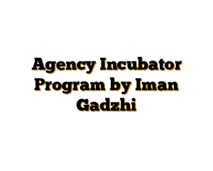 Agency Incubator Program by Iman Gadzhi