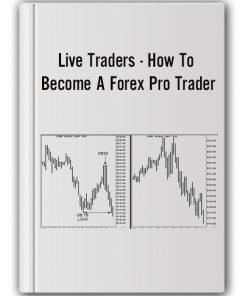 Joe Ross – E-mini S&P 500 eBook