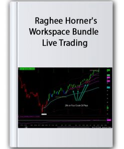 Raghee Horner’s Workspace Bundle + Live Trading – Simpler Trading