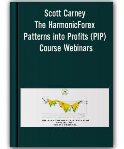 Scott Carney – The HarmonicForex Patterns into Profits (PIP) Course Webinars