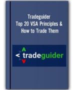 Tradeguider – Top 20 VSA Principles & How to Trade Them