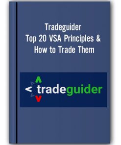 Tradeguider – Top 20 VSA Principles & How to Trade Them