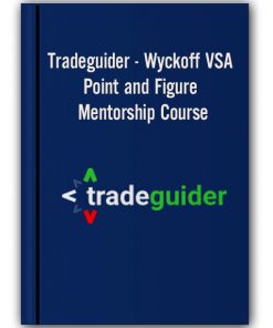 Tradeguider – Wyckoff VSA – Point and Figure Mentorship Course