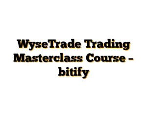 WyseTrade Trading Masterclass Course - bitify