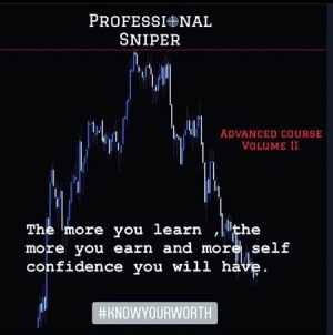 Professional Sniper FX Course