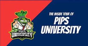 Pips University - The Only Forex Course You Will Ever Need