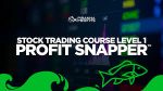 Piranha Profits - Stock Trading Course Level 1 Profit Snapper