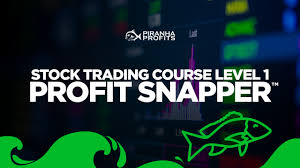 Piranha Profits - Stock Trading Course Level 1 Profit Snapper