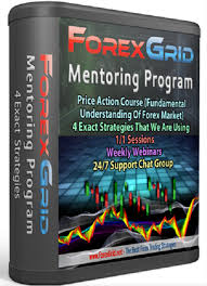 Forex Grid Mentoring Program