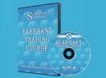 Simpler Options - Elephant Swing Trading Options Course