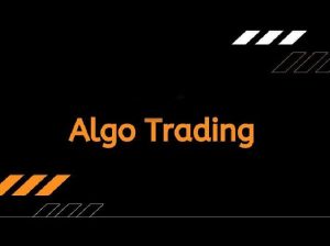Trade Hull – Algo Trading Course