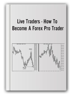 Joe Ross – E-mini S&P 500 eBook