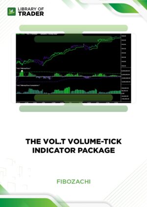 The Vol.T Volume-Tick Indicator Package – Fibozachi