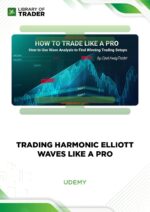 Trading Harmonic Elliott Waves like a PRO – Udemy